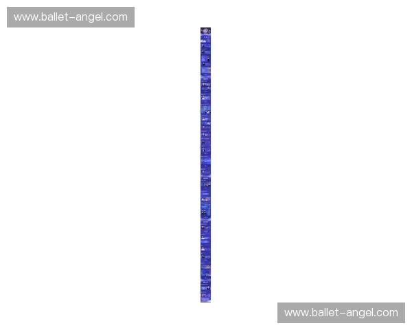 2025年度晚会精彩赛程全面发布 精彩节目不容错过