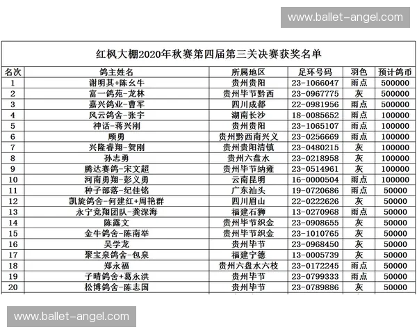 全面解析美洲地区2016年度赛事赛程与亮点回顾专题专章解